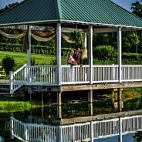 Dennis Vineyards