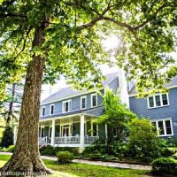 The Ivy Place